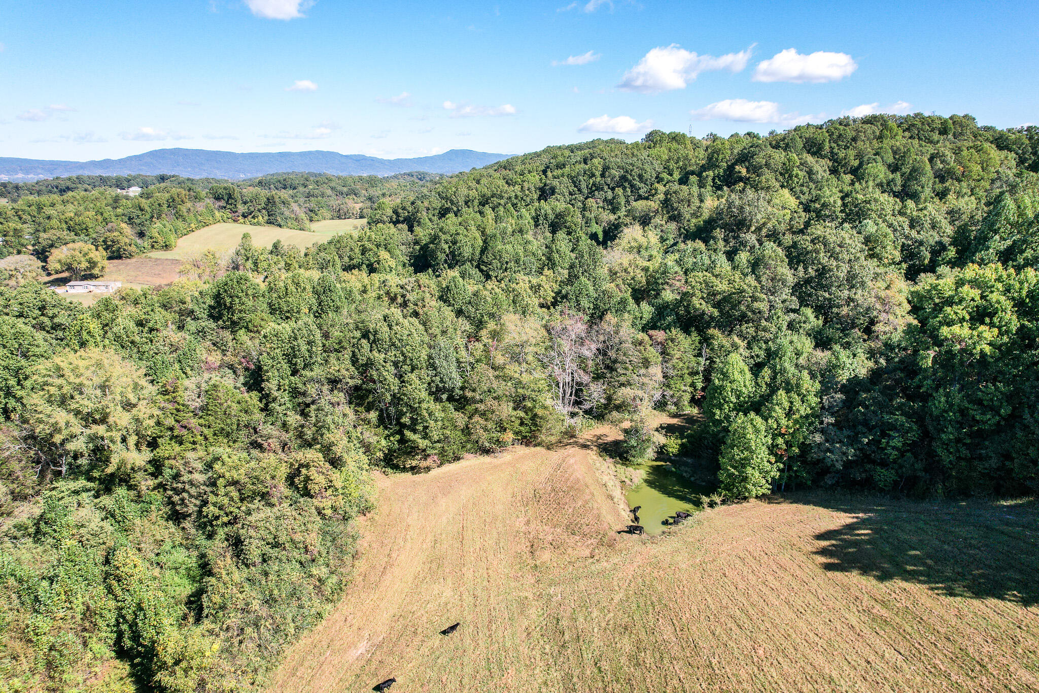 DJI_0187