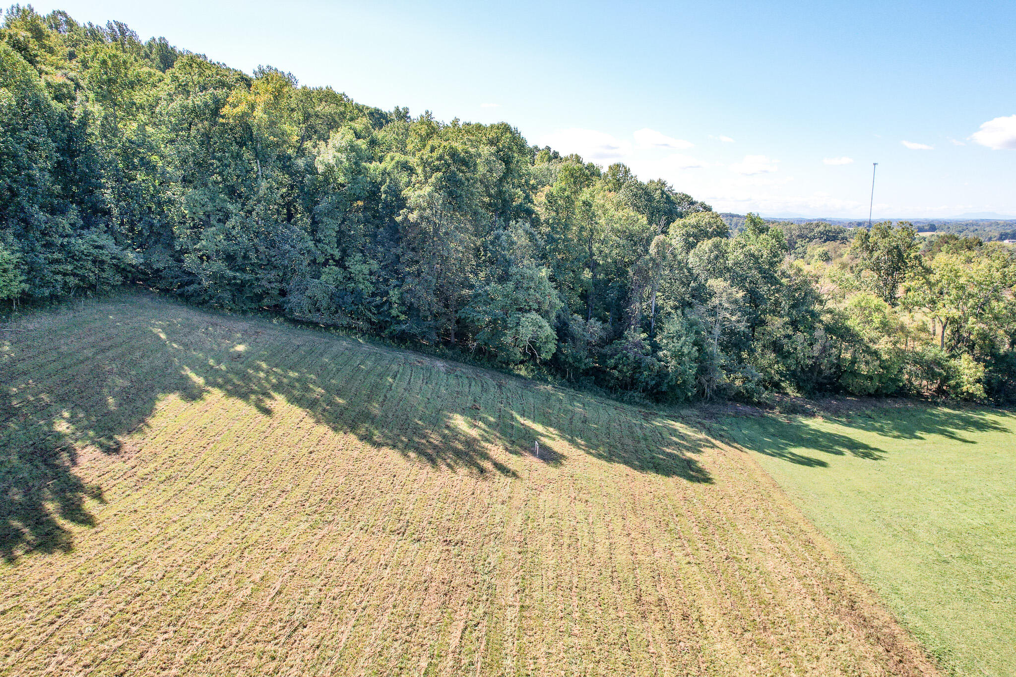 DJI_0191