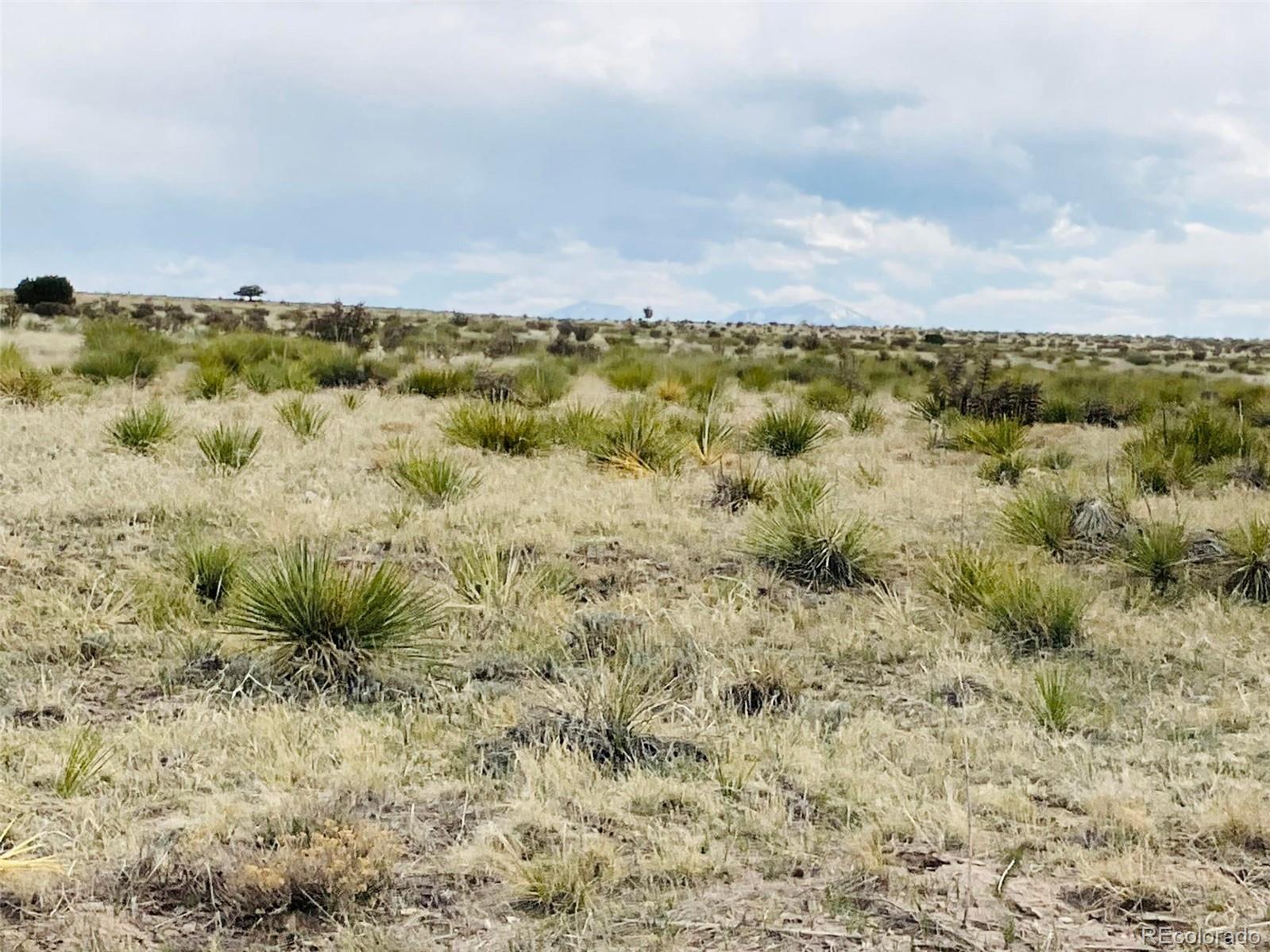 239 Turkey Ridge Ranch Walsenburg, CO 81089 - Photo 2 of 7 a view of a bunch of trees in a field