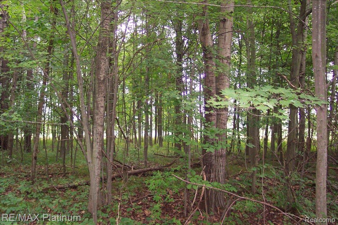 Par-2 Fisher Road Howell, MI 48855 - Photo 2 of 4 100_3283
