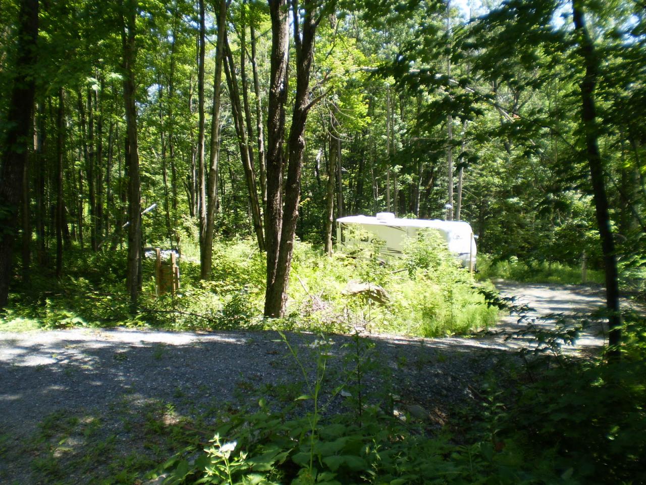 Lot 28 Shippee Hill Road Readsboro, VT 05350 - Photo 2 of 3 a view of yard