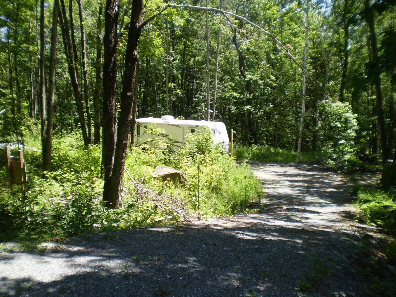 Lot 28 Shippee Hill Road Readsboro, VT 05350 - Photo 3 of 3 a view of backyard with green space
