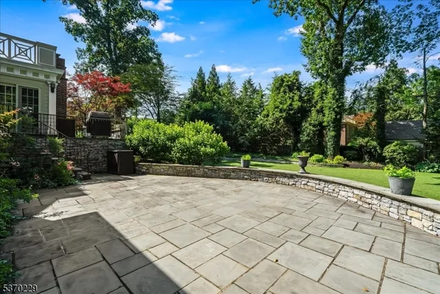 a view of a yard with plants and a trees