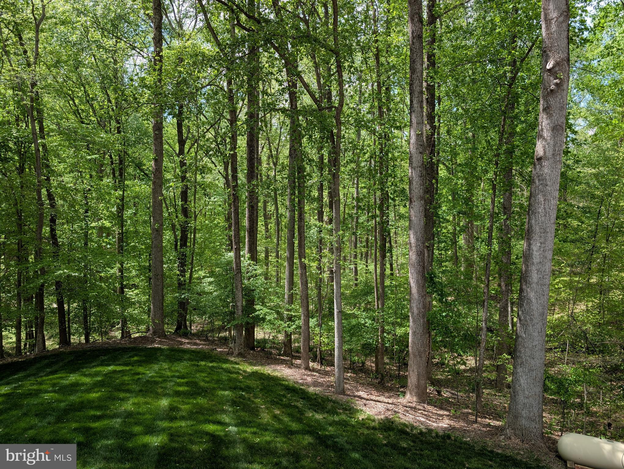 216 Walnut Creek Road Huntingtown, MD 20639 - Photo 15 of 22 backyard