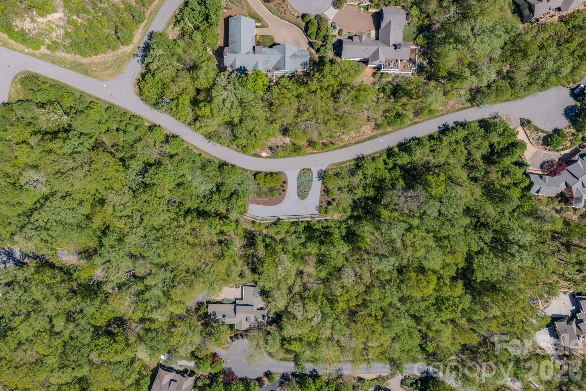 67 Clear Water Trail Road, Unit 511 Fairview, NC 28730 - Photo 6 of 12 a picture of a tree with a tree in the background