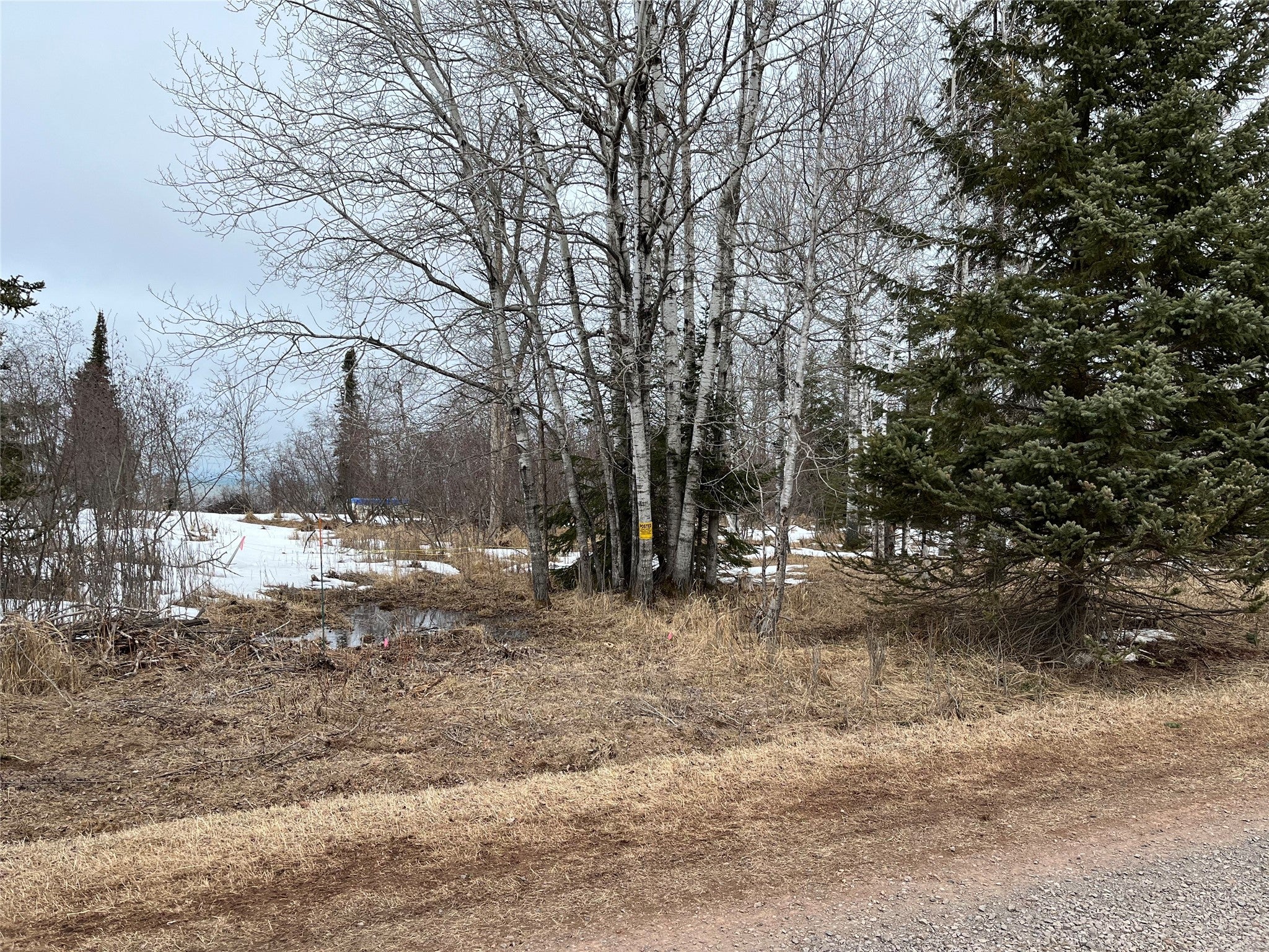 10427 Devries Road Poplar, WI 54864 - Photo 23 of 23 Gallery Image 23