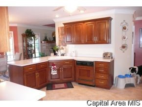 5770 North Lake Road Springfield, IL 62711 - Photo 4 of 12