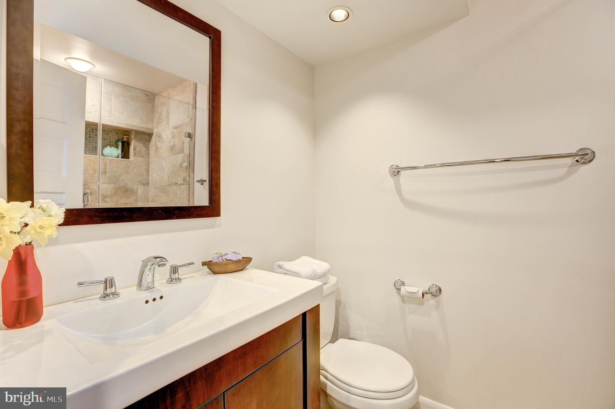 1015 Woodside Parkway Silver Spring, MD 20910 - Photo 51 of 60 Lower level full bath.