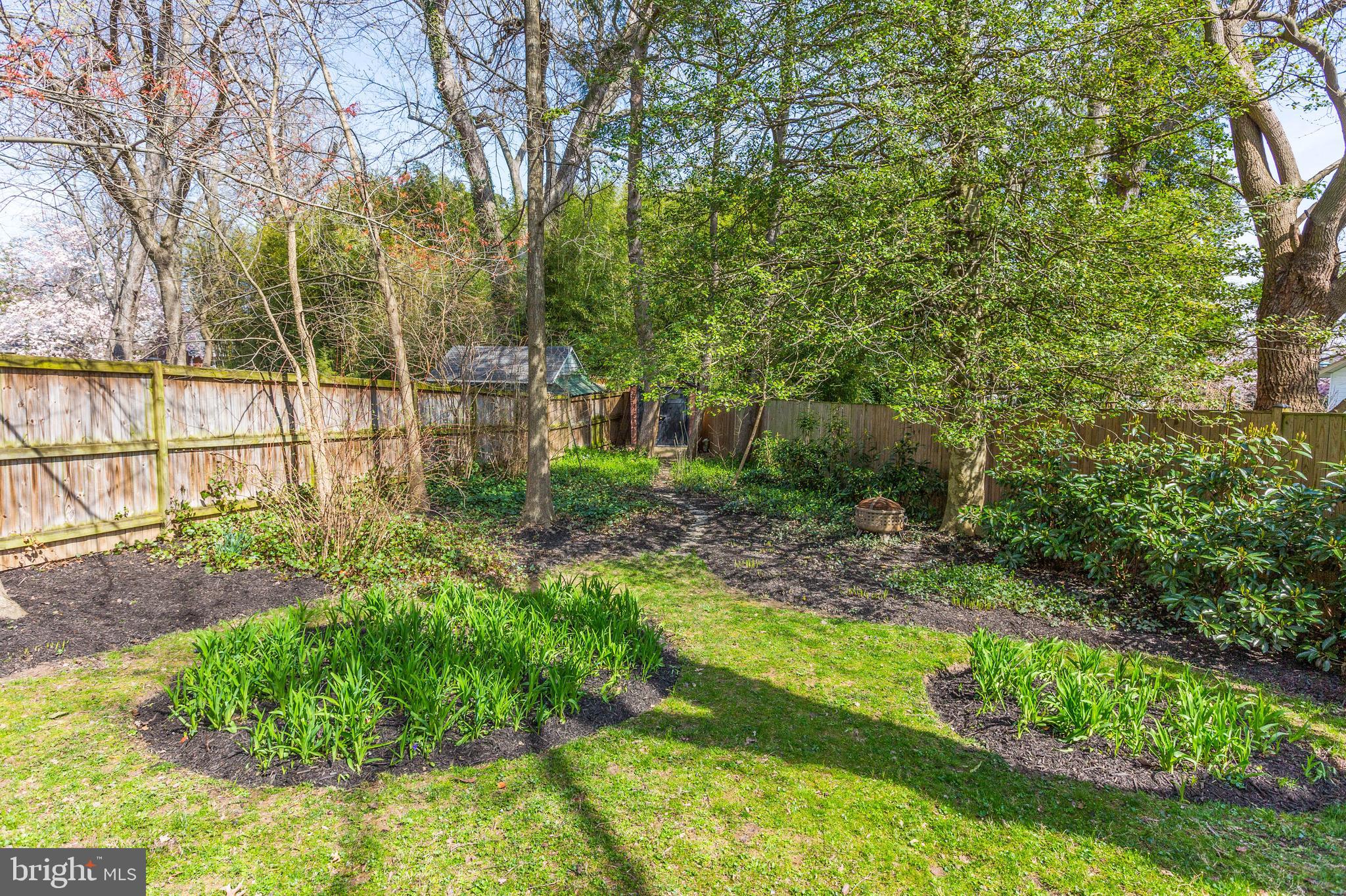 1015 Woodside Parkway Silver Spring, MD 20910 - Photo 58 of 60 Mature trees and manicured plantings.