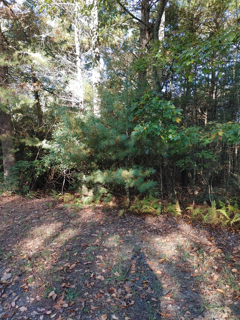 10 Upper Ridge Road, Unit 10 Meadows Of Dan, VA 24120 - Photo 10 of 30 Gallery Image 10