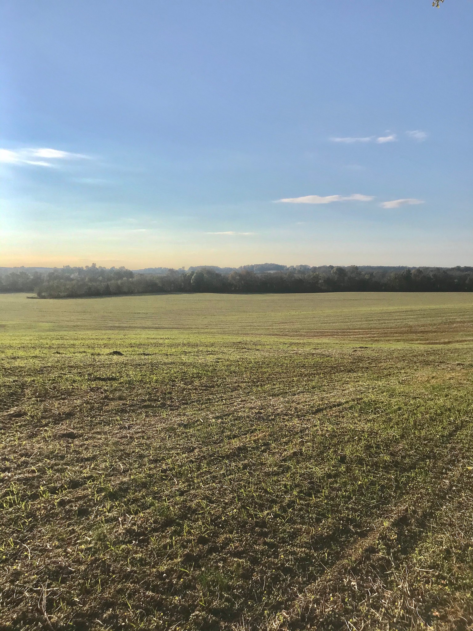 1071 Hills Trace Road Morrison, TN 37357 - Photo 3 of 3