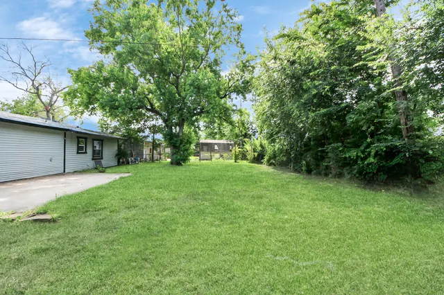 a view of a backyard with a large tree