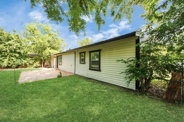 a view of a backyard with plants and large tree