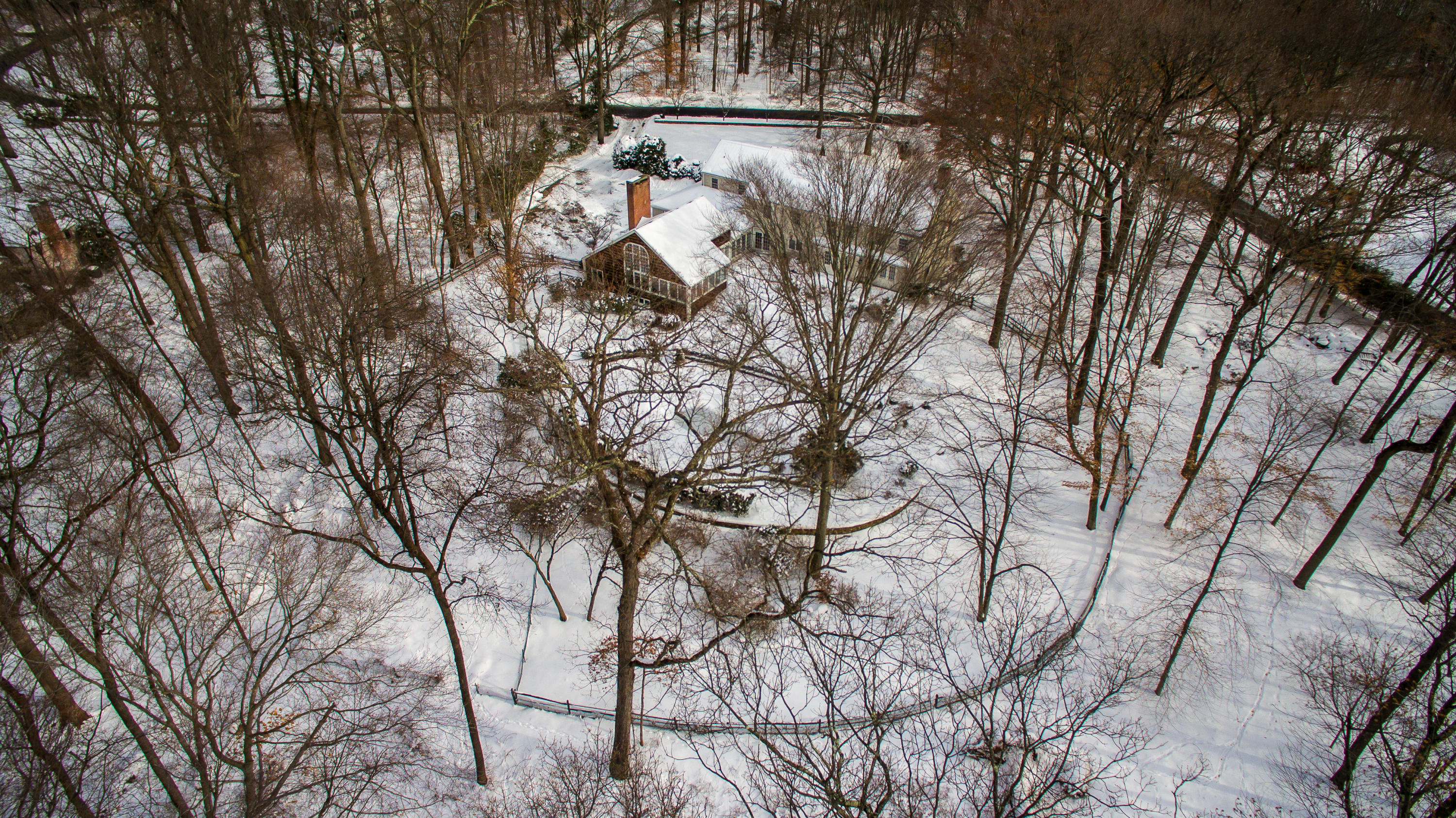 40 Allwood Road Darien, CT 06820 - Photo 48 of 50 a view of a tree in the forest
