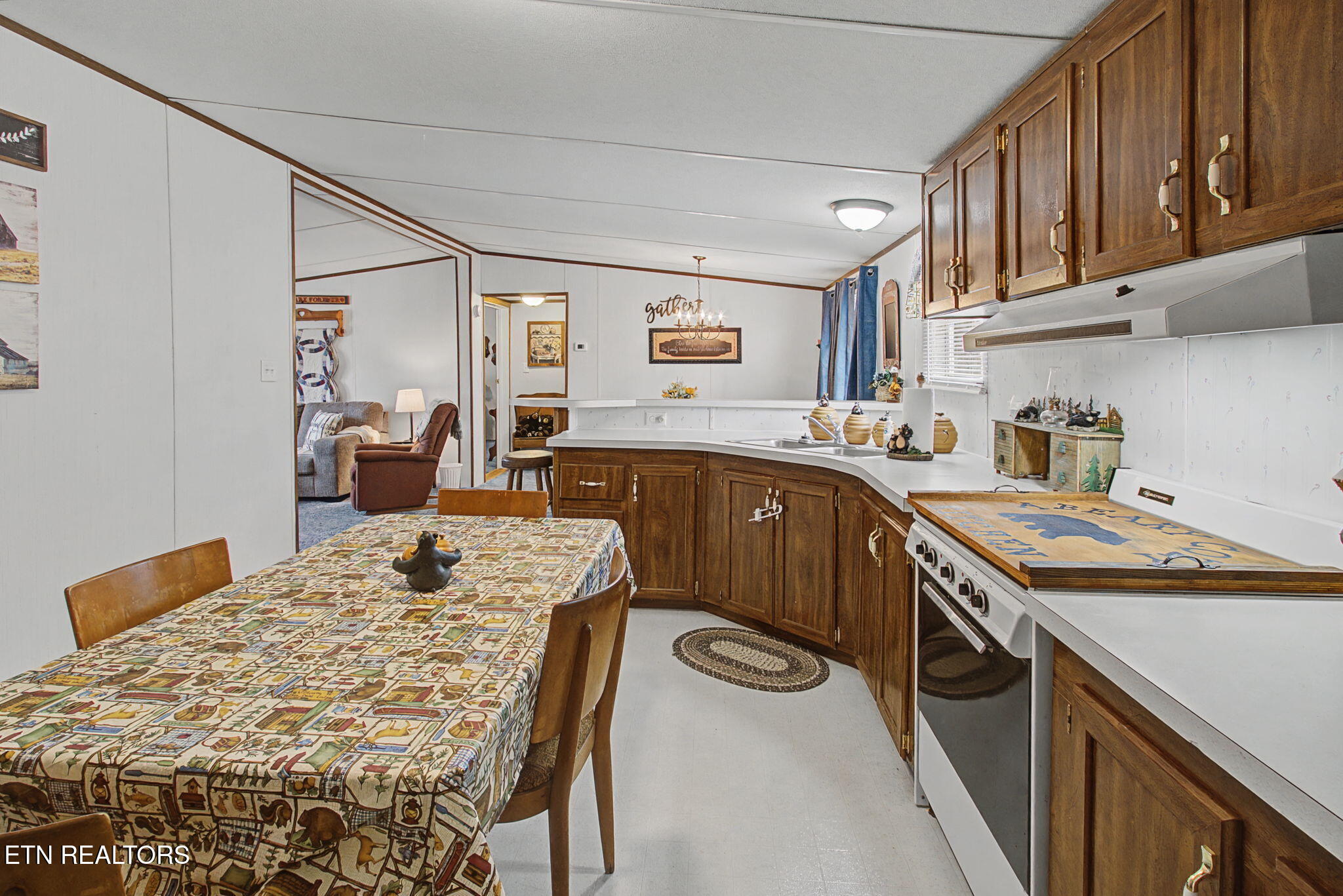 2459 Black Oak Ridge Road Sevierville, TN 37876 - Photo 11 of 60 09_IMG_6237