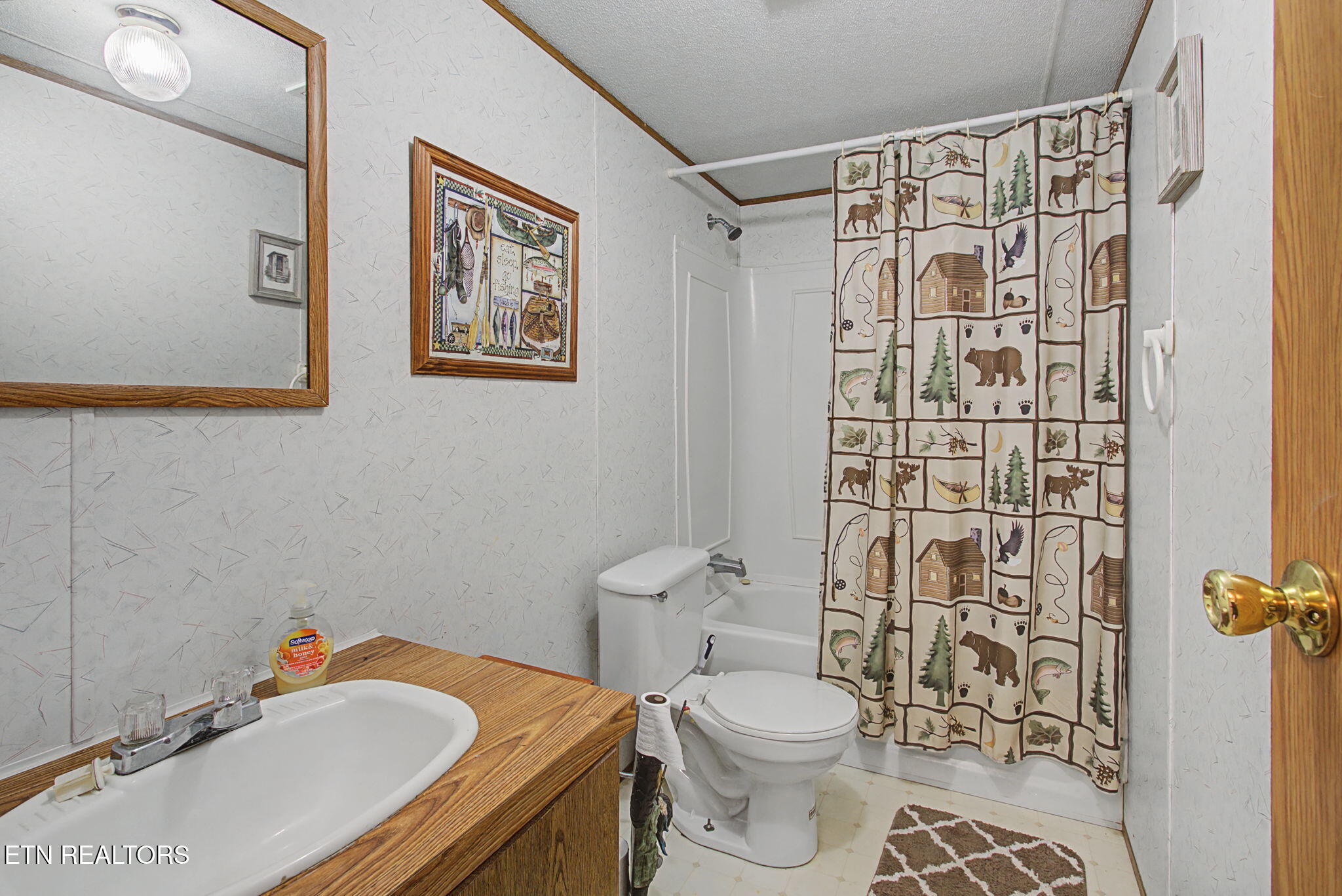 2459 Black Oak Ridge Road Sevierville, TN 37876 - Photo 36 of 60 24_IMG_6297