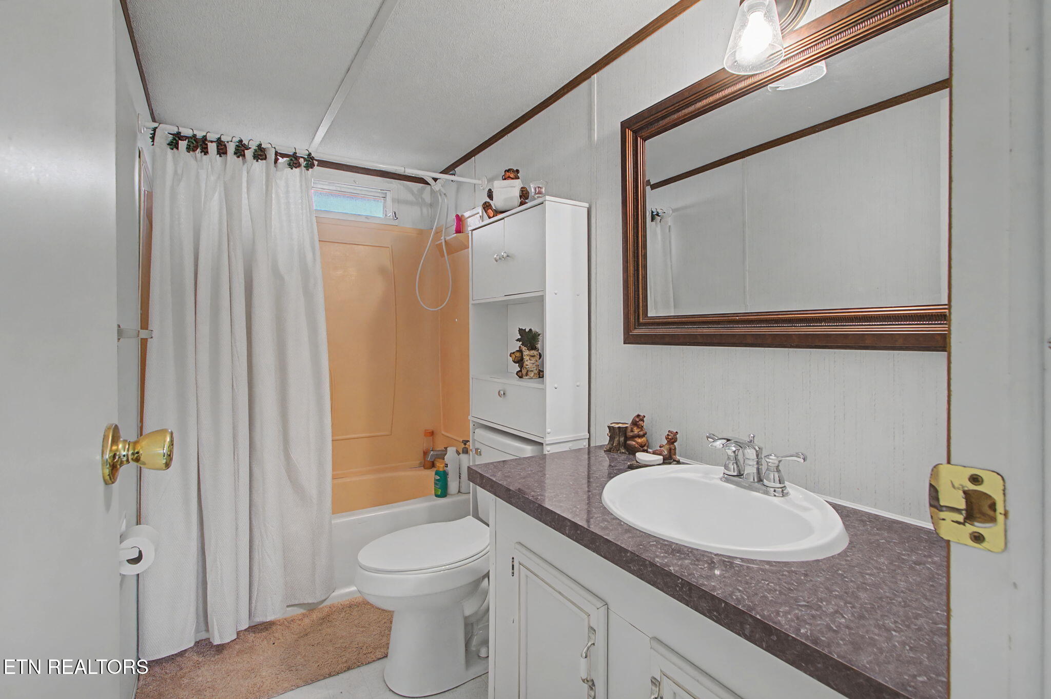 2459 Black Oak Ridge Road Sevierville, TN 37876 - Photo 42 of 60 30_IMG_9218