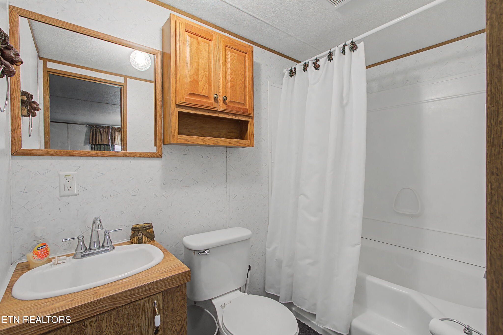 2459 Black Oak Ridge Road Sevierville, TN 37876 - Photo 46 of 60 34_IMG_9278