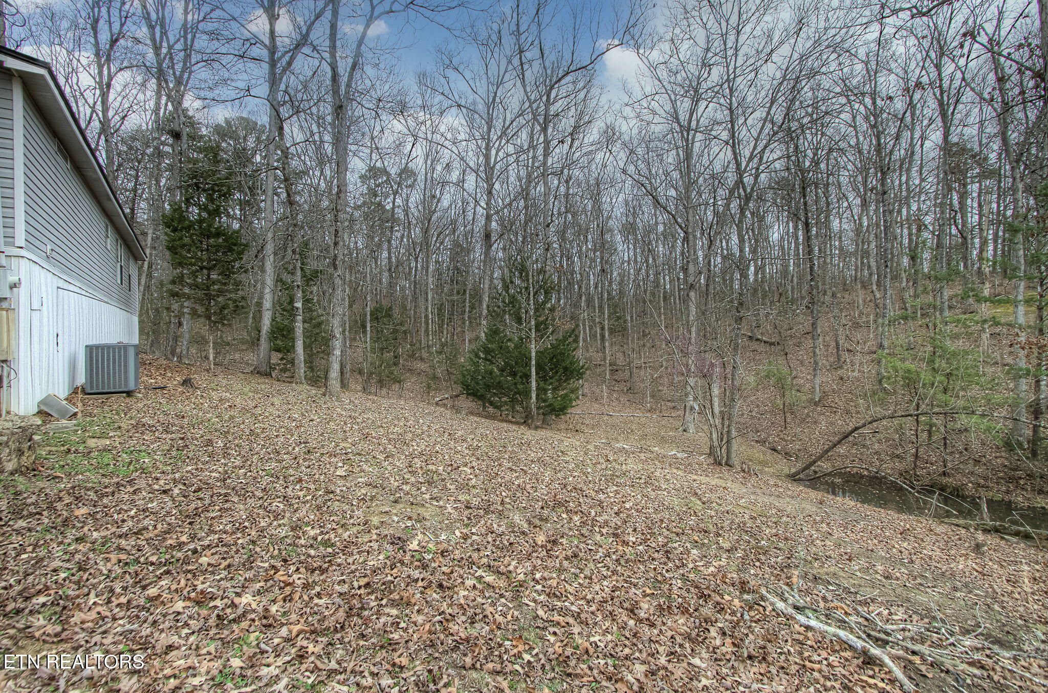 2459 Black Oak Ridge Road Sevierville, TN 37876 - Photo 50 of 60 IMG_9258