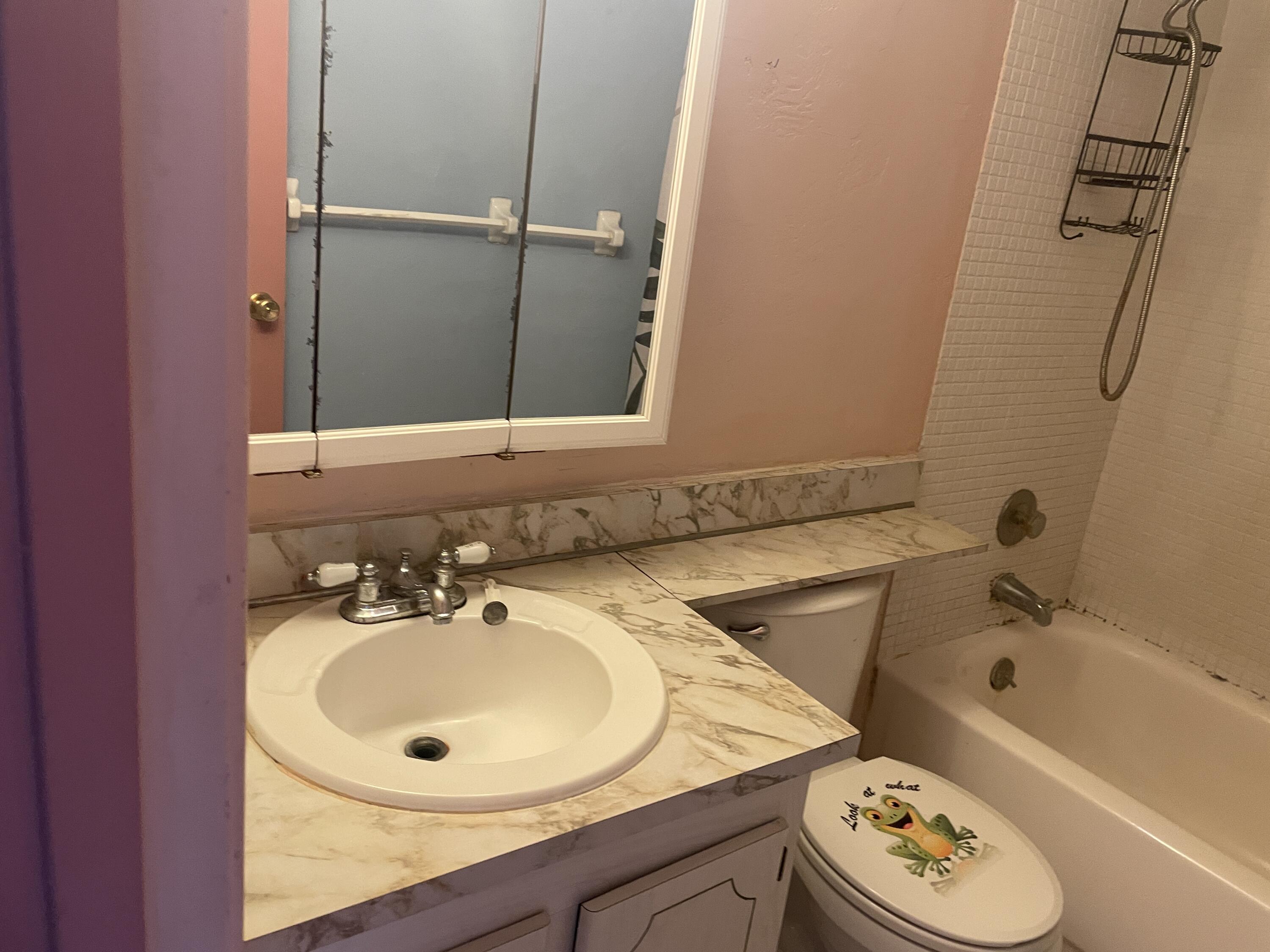 500 Village Green Circle West, Unit 212 Palm Springs, FL 33461 - Photo 15 of 23 a bathroom with a sink and a bathtub