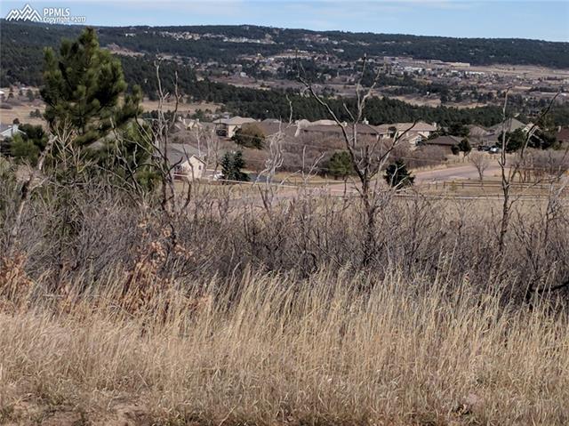 18445 Pixie Park Road Monument, CO 80132 - Photo 4 of 7