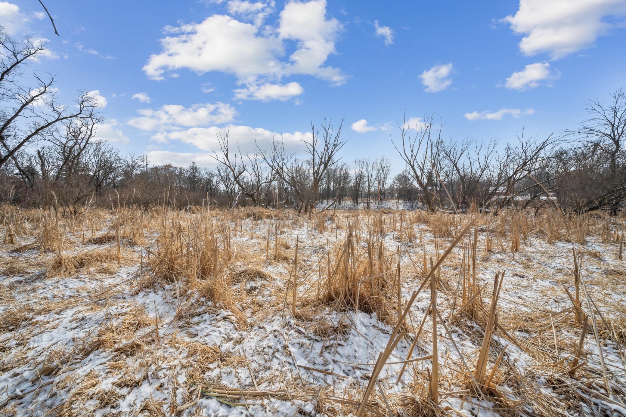 Xxxx Pinewood Road Southeast Rochester, MN 55904 - Photo 15 of 21