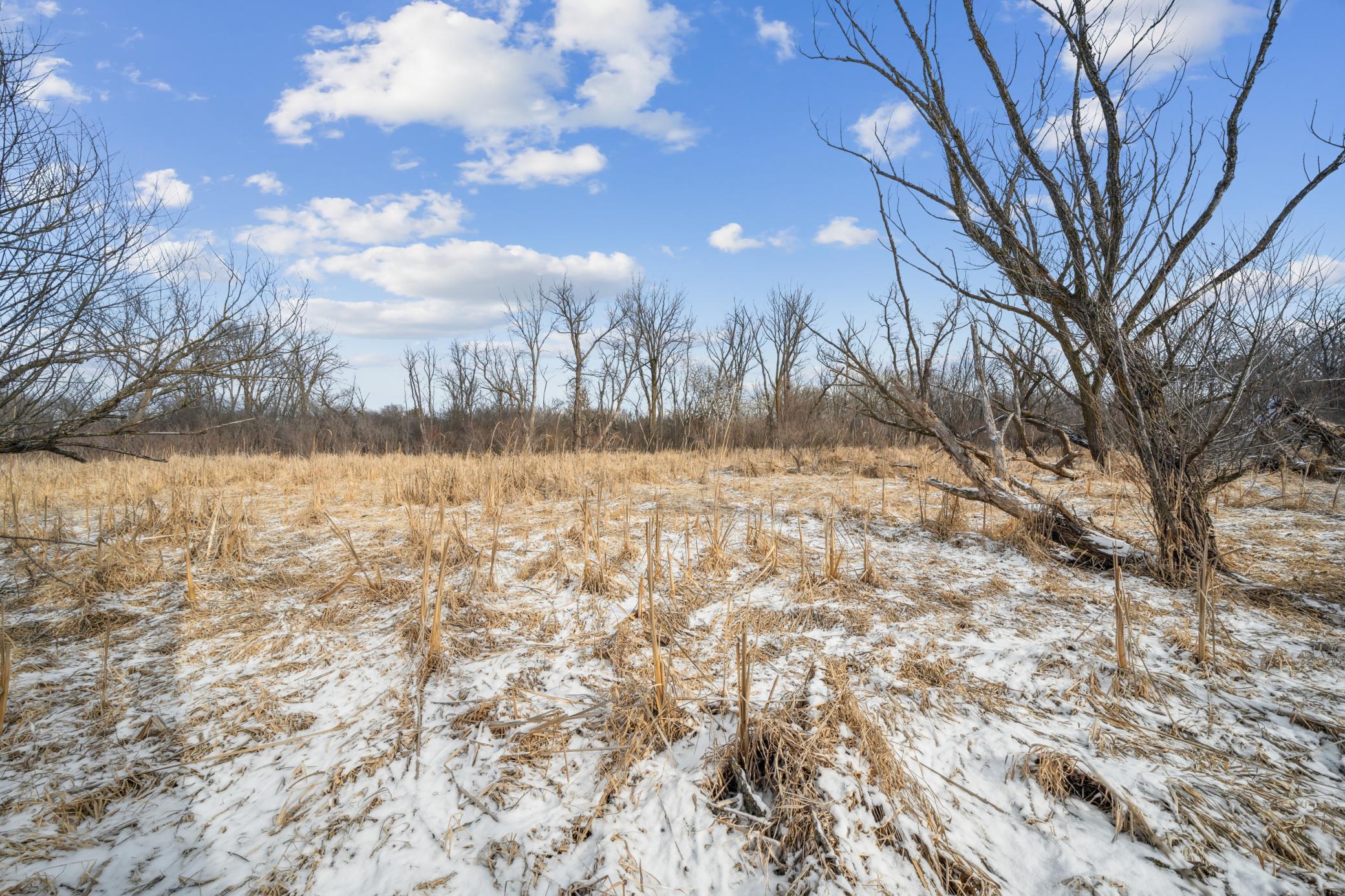 Xxxx Pinewood Road Southeast Rochester, MN 55904 - Photo 19 of 21