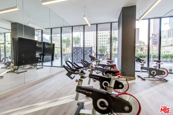 $8,450 | 801 South Olive Street, Unit PH 8, Los Angeles, CA 90014