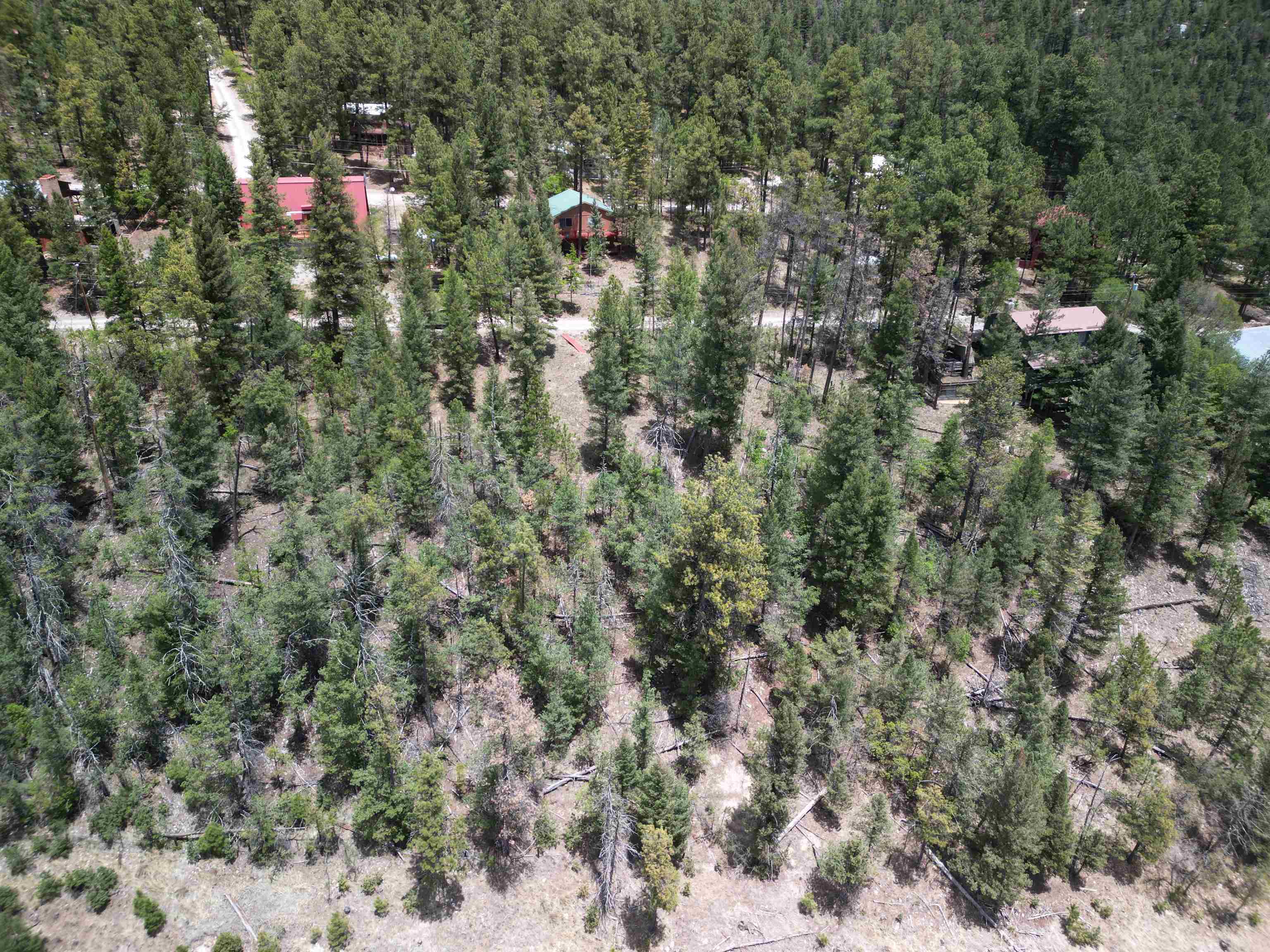 Groesbeeck Road Cloudcroft, NM 88317 - Photo 2 of 9 Gallery Image 2