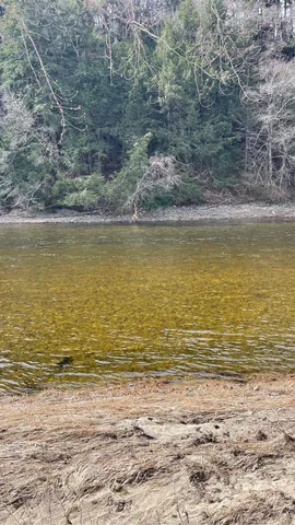 $295,000 | 0 Lisbon Road, Unit 8, Bath, NH 03740