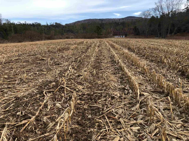 $295,000 | 0 Lisbon Road, Unit 8, Bath, NH 03740