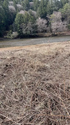 $295,000 | 0 Lisbon Road, Unit 8, Bath, NH 03740