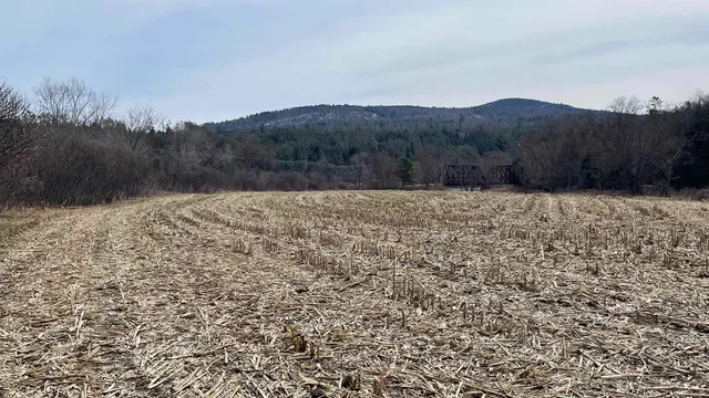 $295,000 | 0 Lisbon Road, Unit 8, Bath, NH 03740