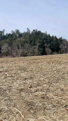 $295,000 | 0 Lisbon Road, Unit 8, Bath, NH 03740