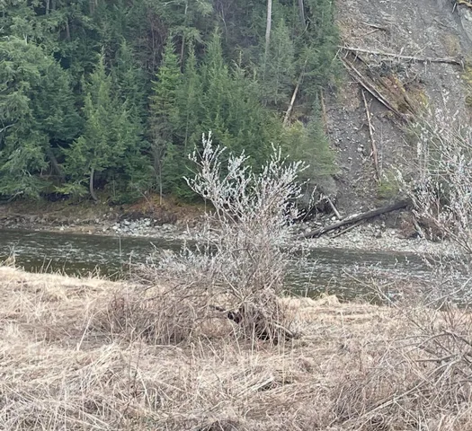 $295,000 | 0 Lisbon Road, Unit 8, Bath, NH 03740