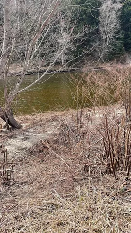 $295,000 | 0 Lisbon Road, Unit 8, Bath, NH 03740