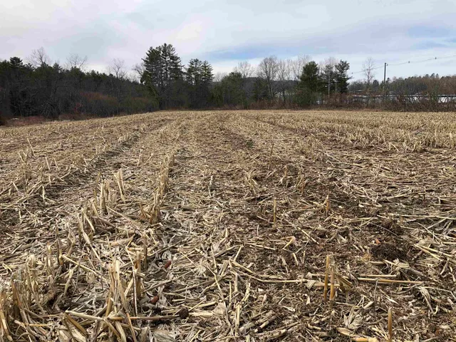 $295,000 | 0 Lisbon Road, Unit 8, Bath, NH 03740