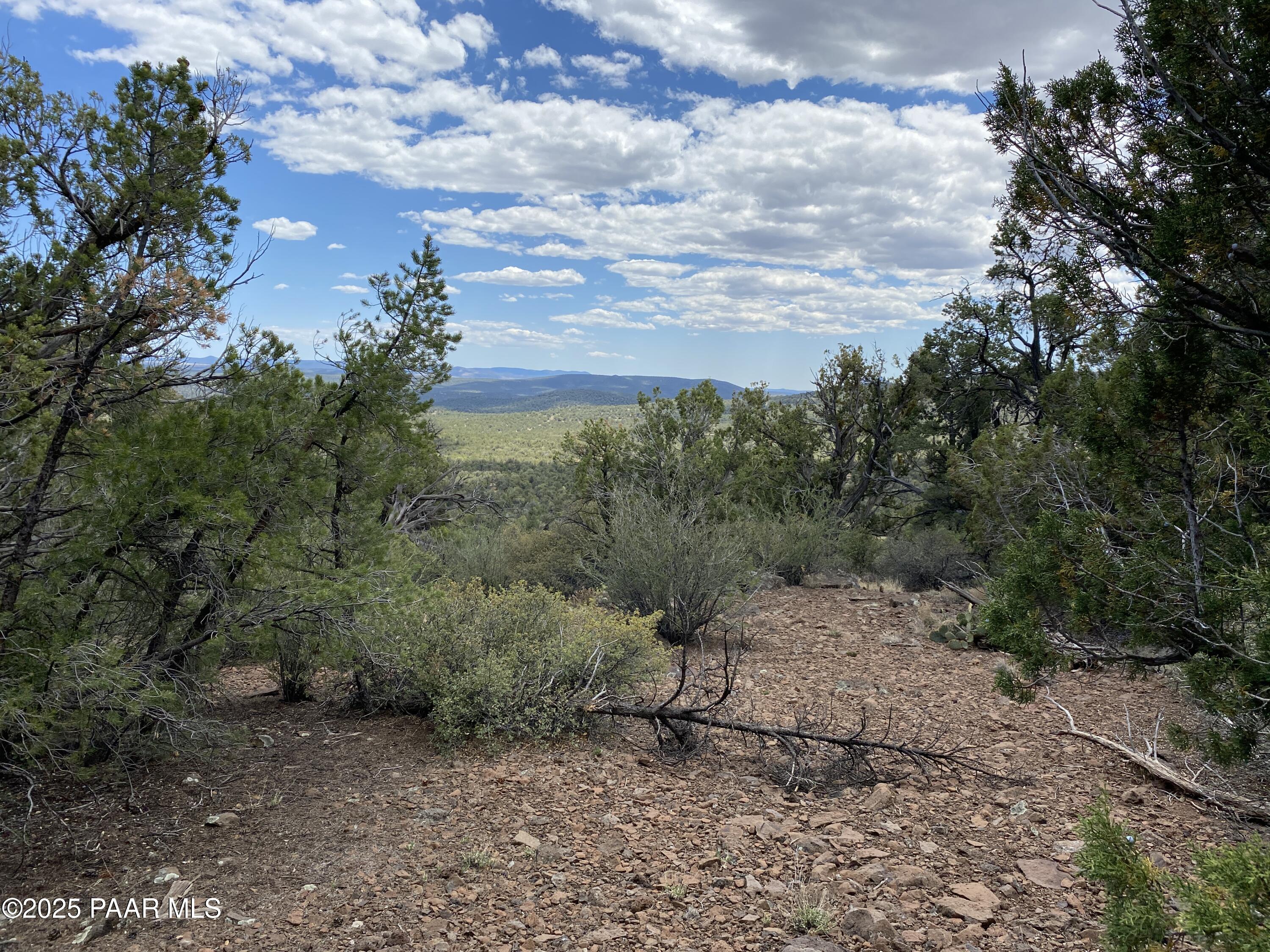 0 Shiloh Road Seligman, AZ 86337 - Photo 24 of 37 IMG_1020