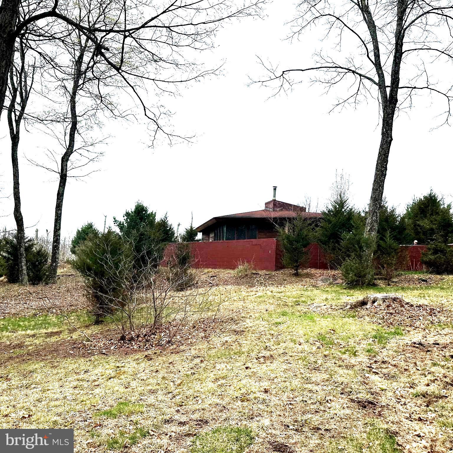 565 Cafferty Road Upper Black Eddy, PA 18972 - Photo 1 of 19 a view of a yard with a large tree