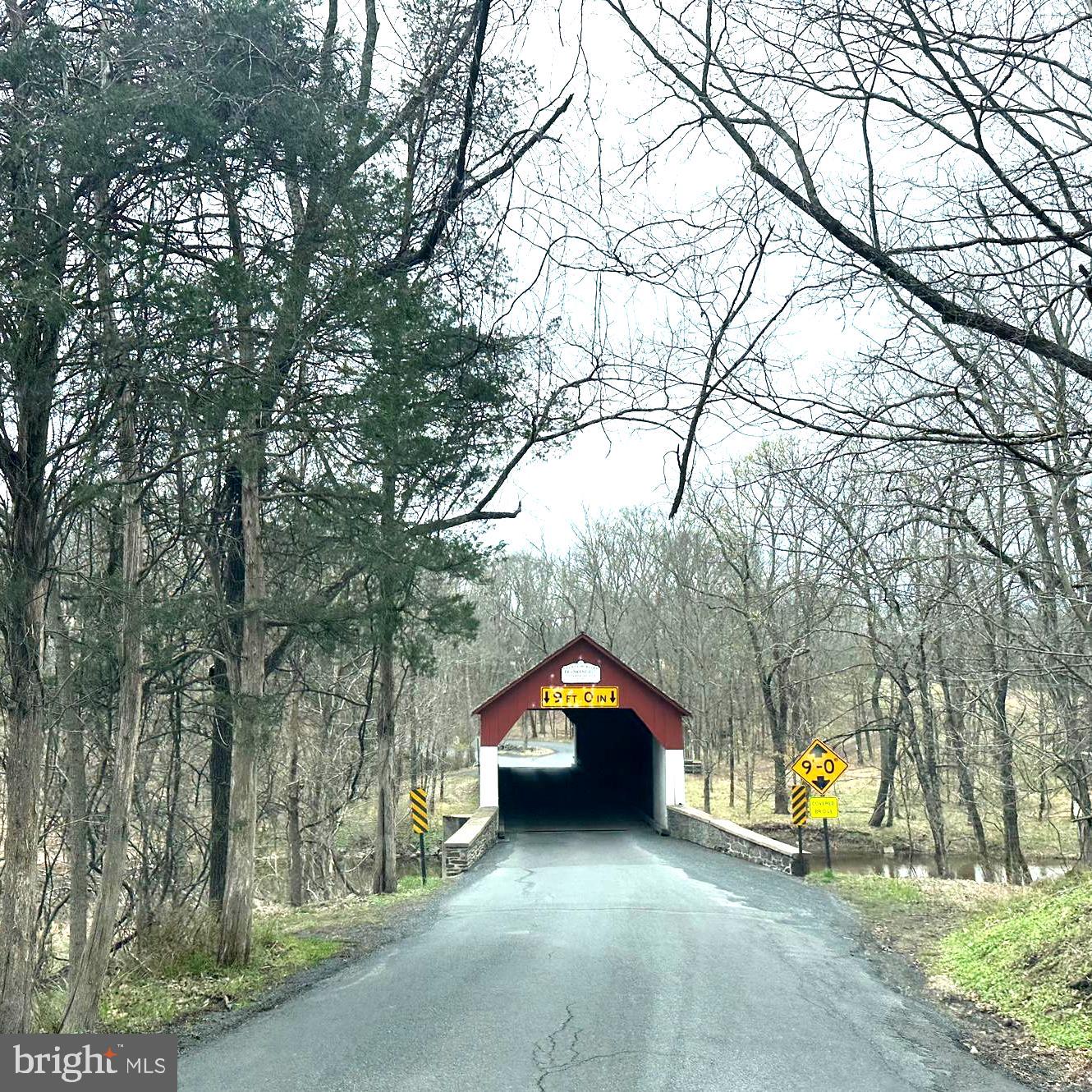 565 Cafferty Road Upper Black Eddy, PA 18972 - Photo 13 of 19 a view of swimming pool and trees in the background