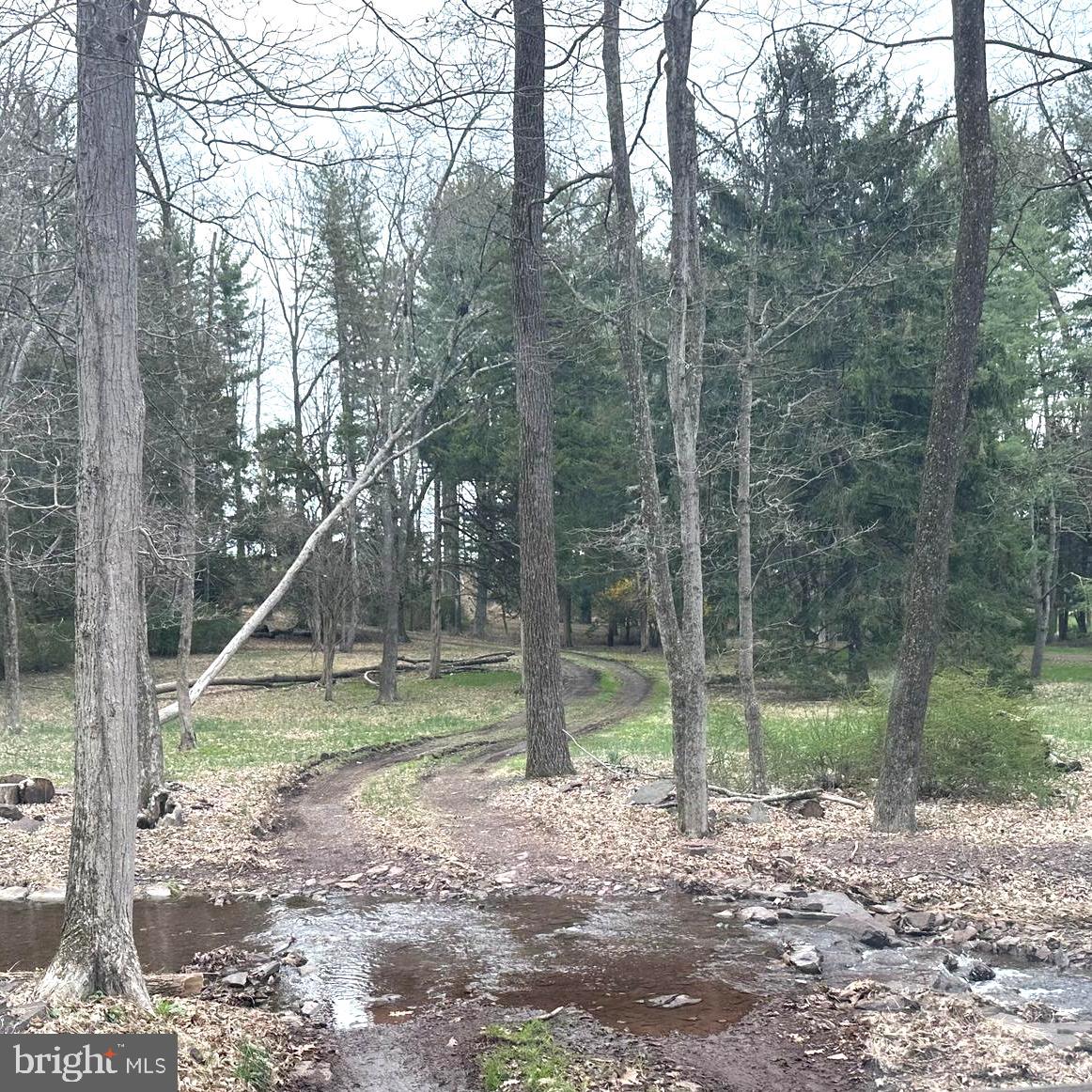 565 Cafferty Road Upper Black Eddy, PA 18972 - Photo 16 of 19 a backyard of a house with lots of green space
