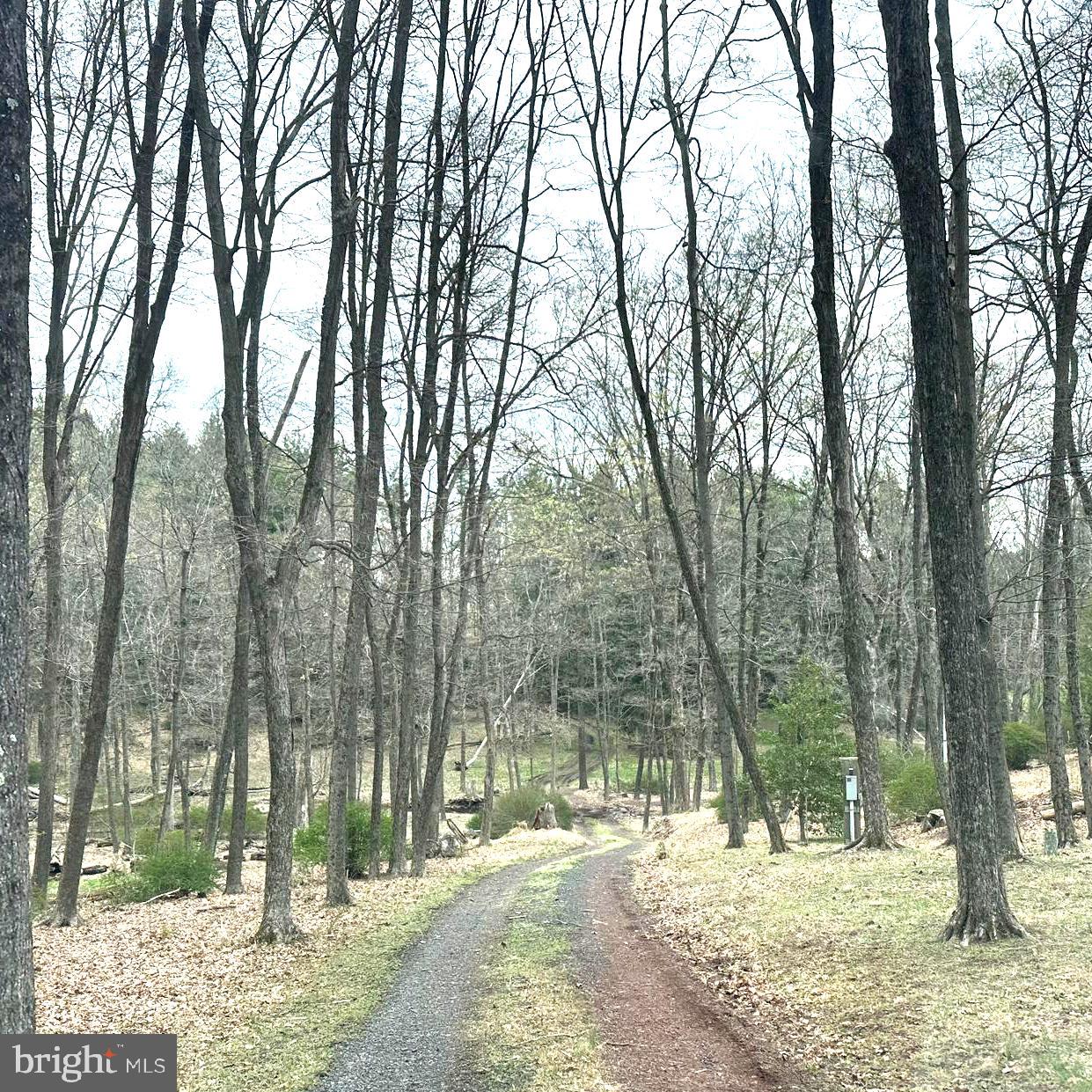 565 Cafferty Road Upper Black Eddy, PA 18972 - Photo 18 of 19 a view of outdoor space with trees