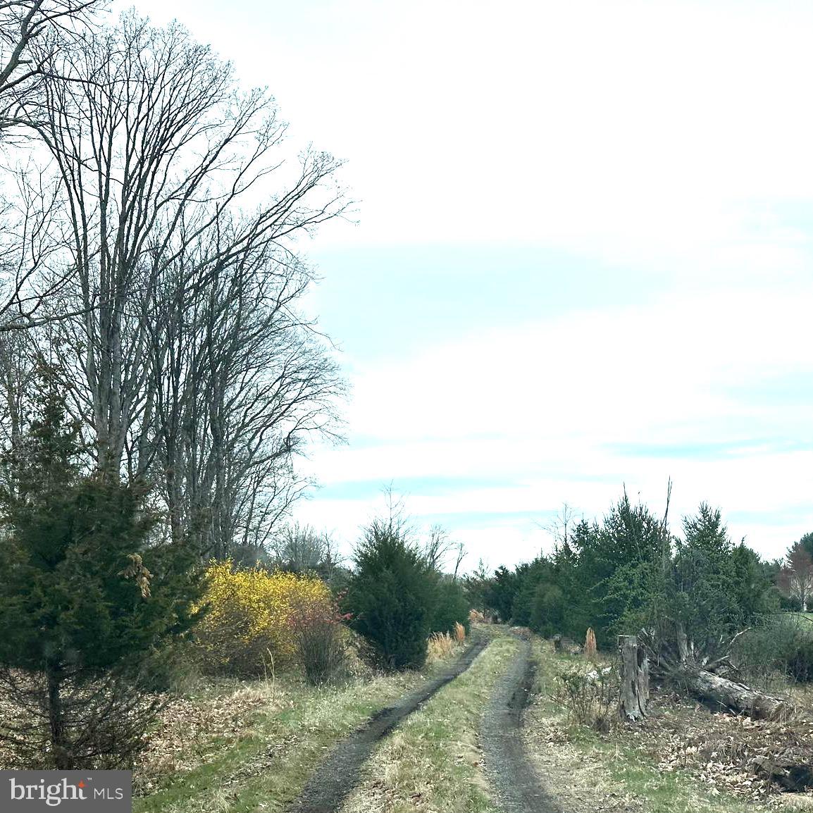 565 Cafferty Road Upper Black Eddy, PA 18972 - Photo 19 of 19 a view of a lake with trees in the background