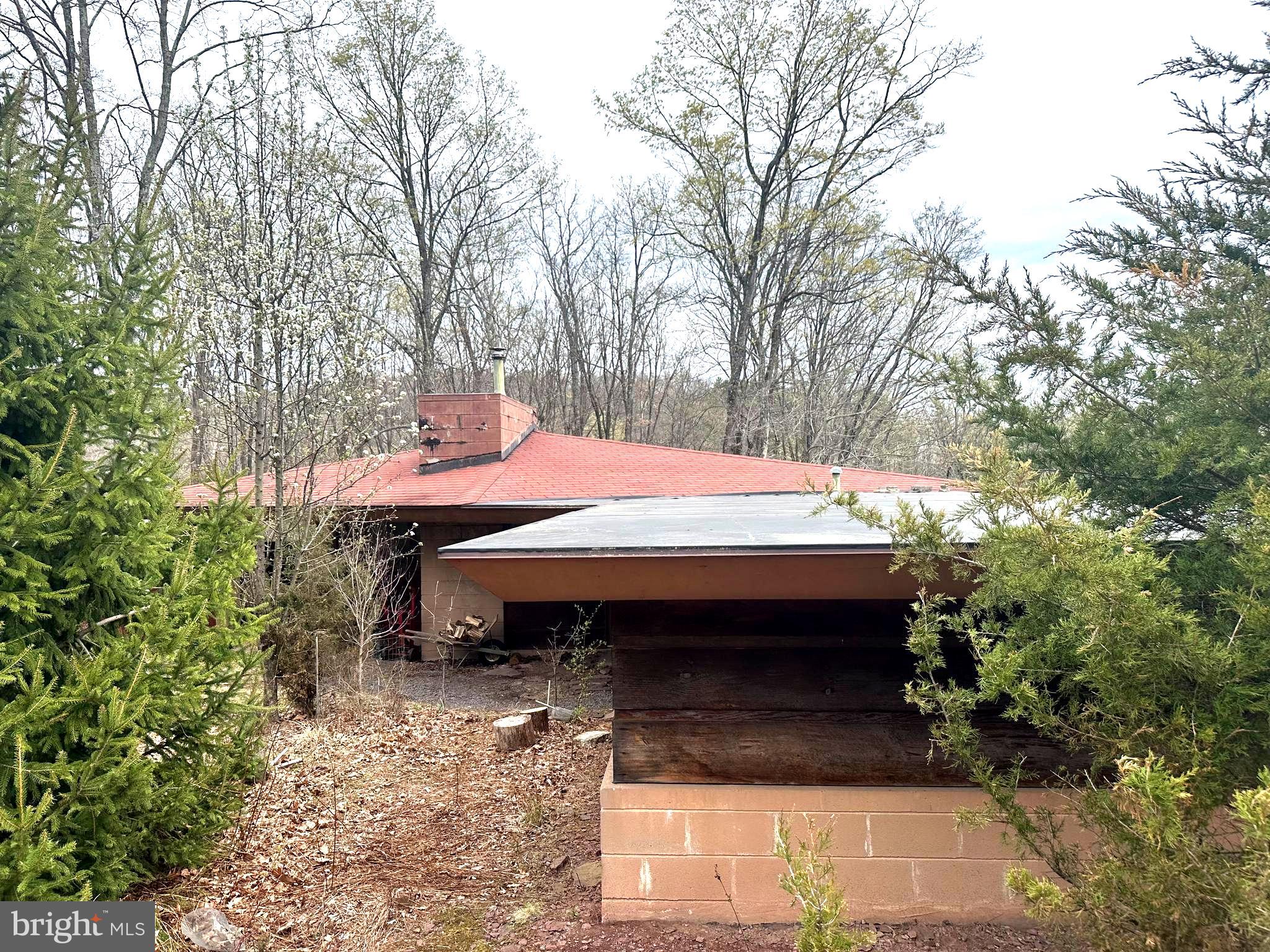 565 Cafferty Road Upper Black Eddy, PA 18972 - Photo 3 of 19 a small hurt covered with tall trees