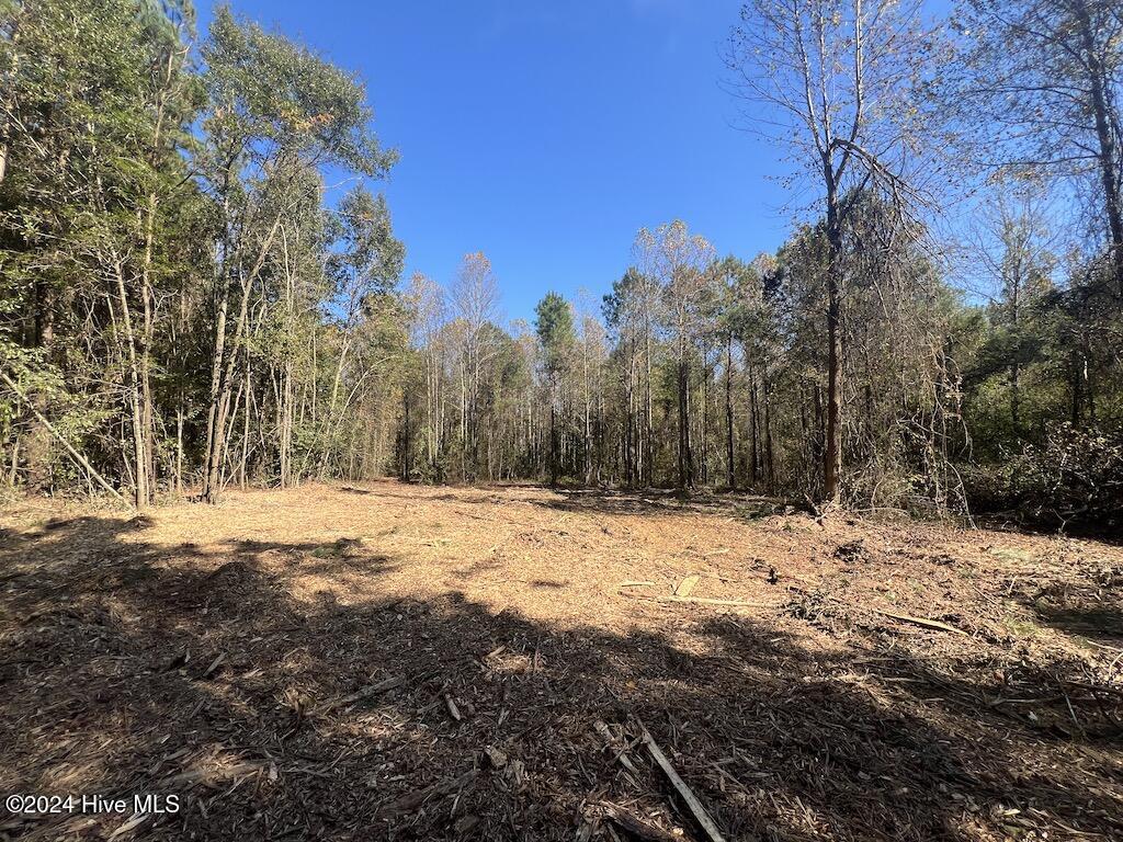 1 Veaches Mill Road Warsaw, NC 28398 - Photo 20 of 33 19