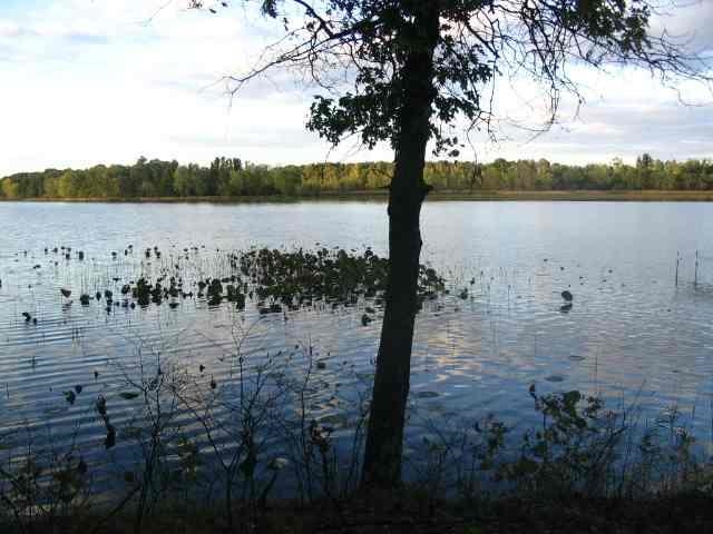 W4132 Mays Point Road Necedah, WI 54646 - Photo 4 of 7