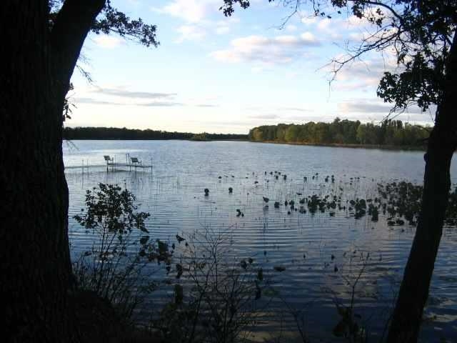 W4132 Mays Point Road Necedah, WI 54646 - Photo 5 of 7