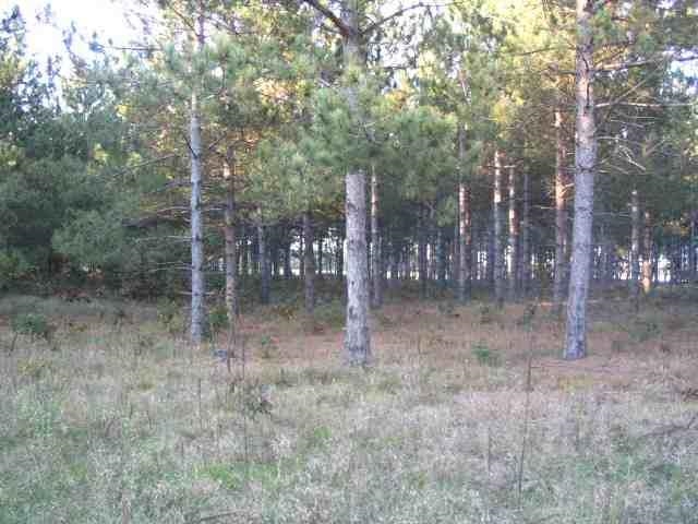 W4132 Mays Point Road Necedah, WI 54646 - Photo 7 of 7