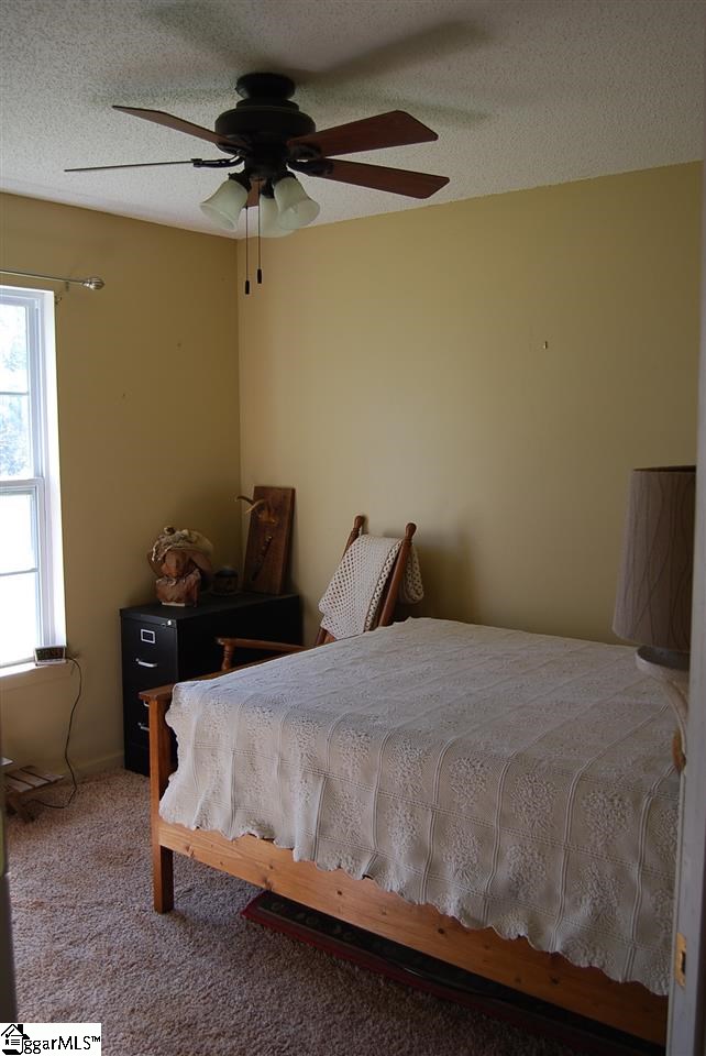 114 Hillside Church Road Fountain Inn, SC 29644 - Photo 22 of 28
