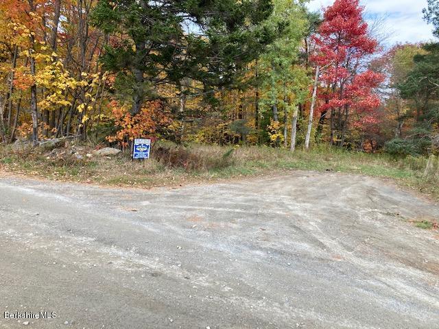 Howe Pond Road Readsboro, VT 05350 - Photo 2 of 6 a view of outdoor space with trees